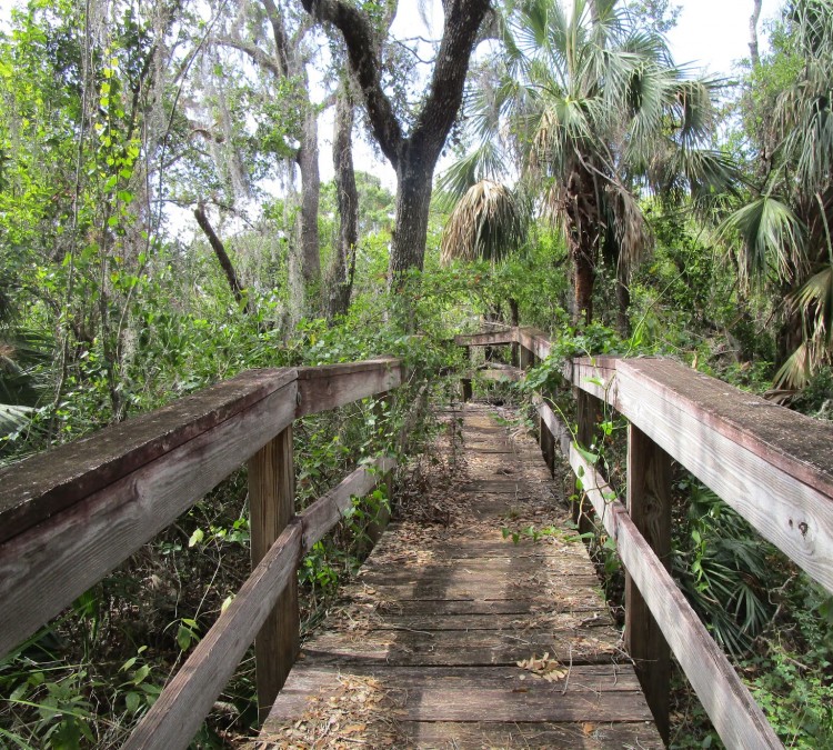 Ortona Indian Mounds Park (Moore&nbspHaven,&nbspFL)